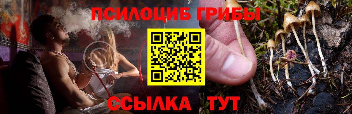 Галлюциногенные грибы Cubensis  Вход с VPN  Псилоцибиновые грибы MAGIC MUSHROOMS  где продают   Мытищи 